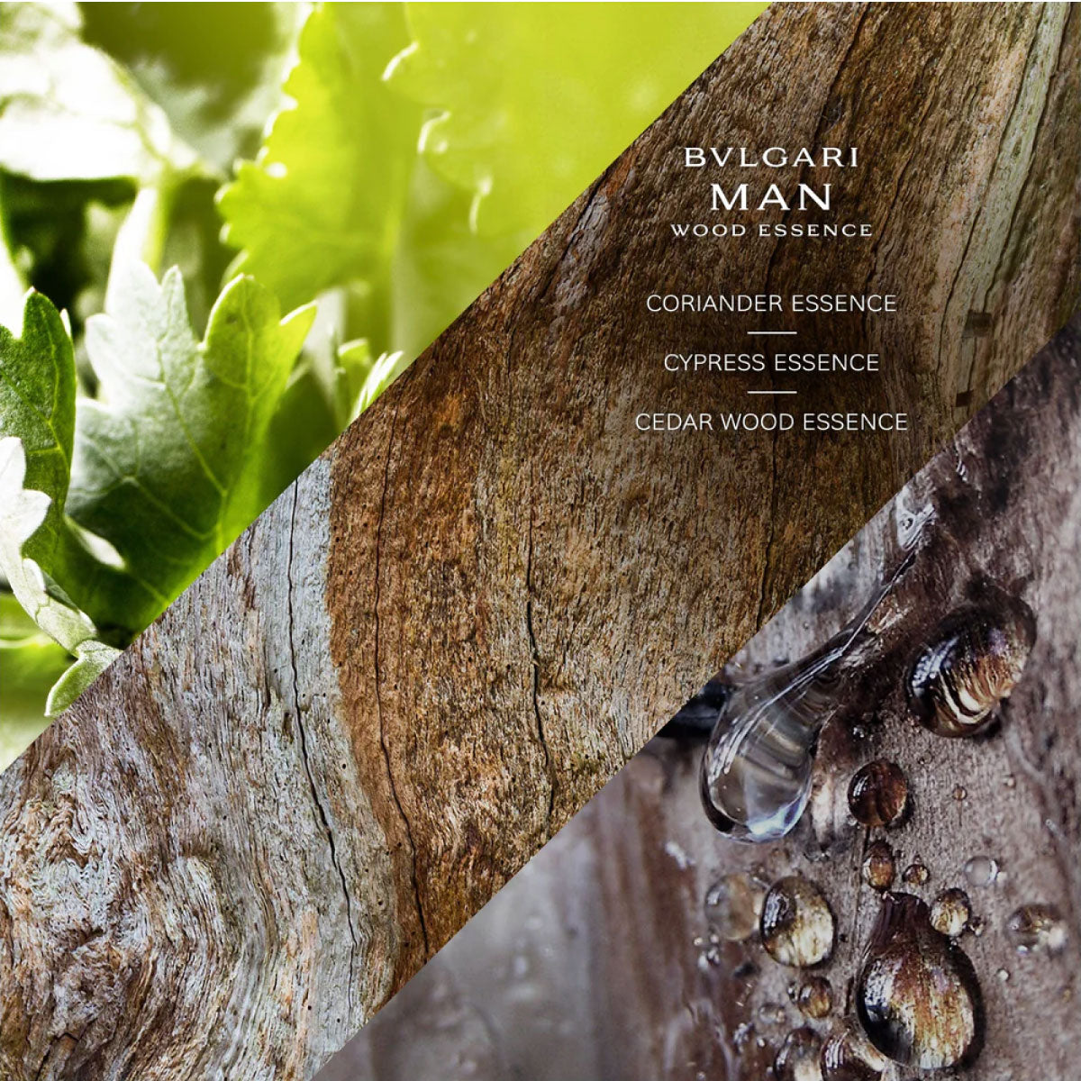 Bvlgari Man Wood Essence EDP parfumska voda