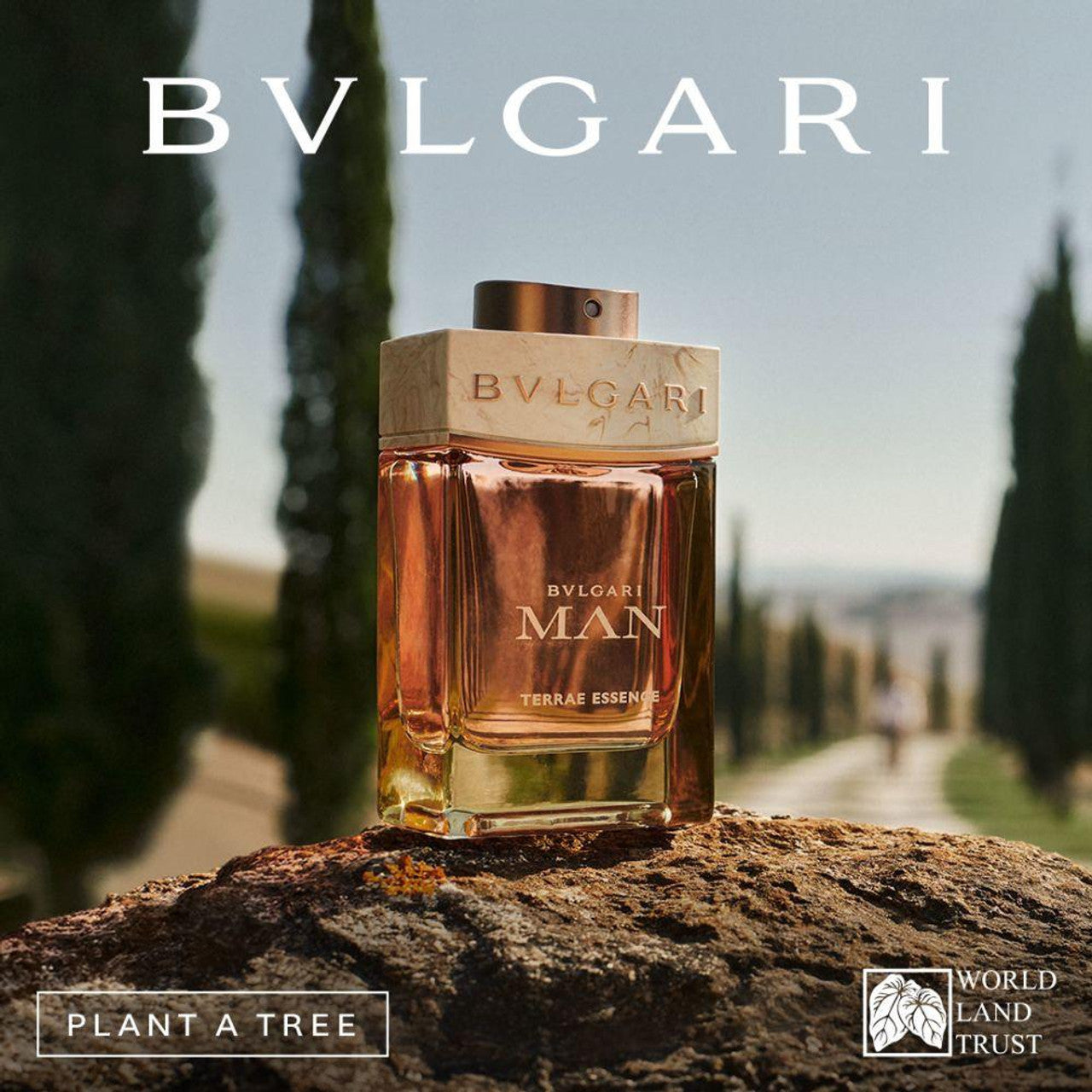 Bvlgari Man Terrae Essence EDP parfumska voda