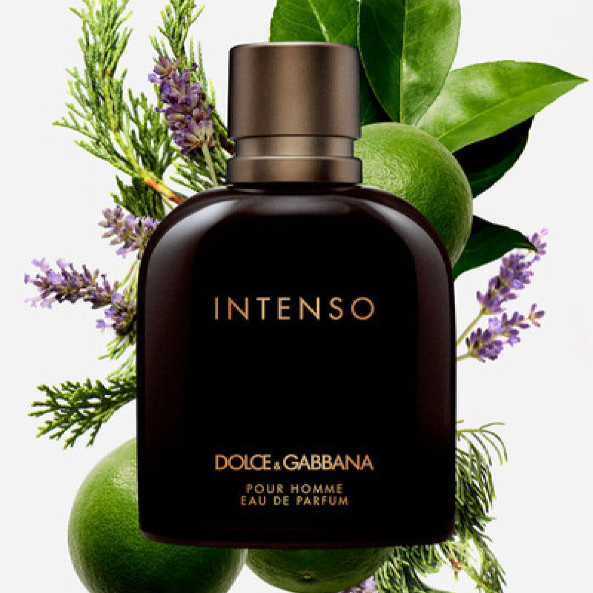 Dolce & Gabbana Pour Homme Intenso EDP parfumska voda